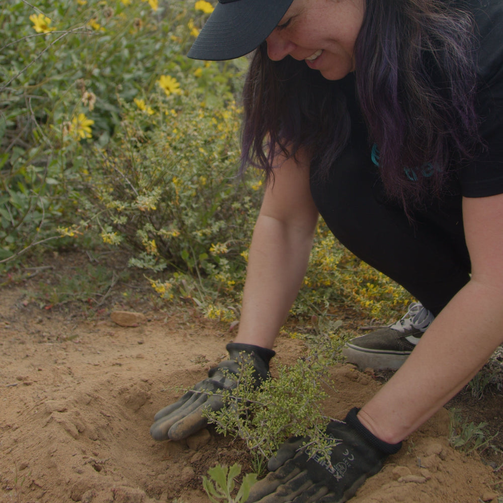 Restore the Watershed in Cardiff