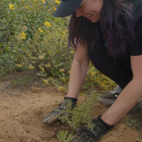 Restore the Watershed in Cardiff