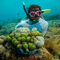 Plant Coral SeaTrees in Bali