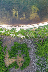 Restore Watershed in the Florida Keys