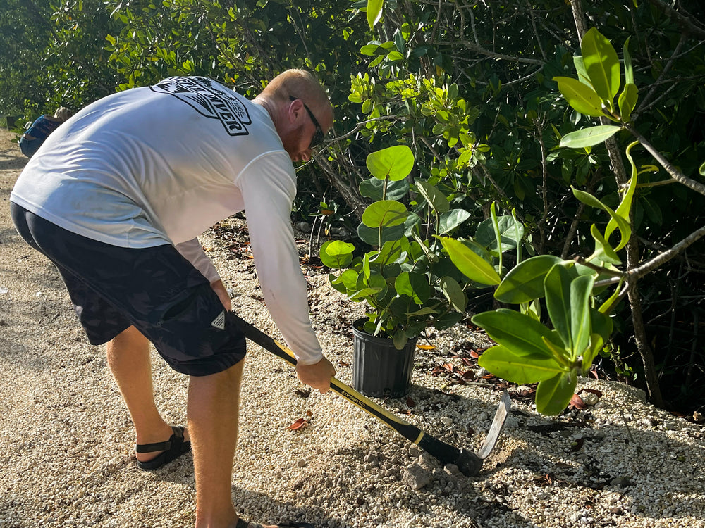 Restore Watershed in the Florida Keys