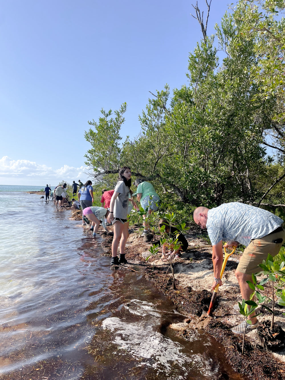 Restore Watershed in the Florida Keys