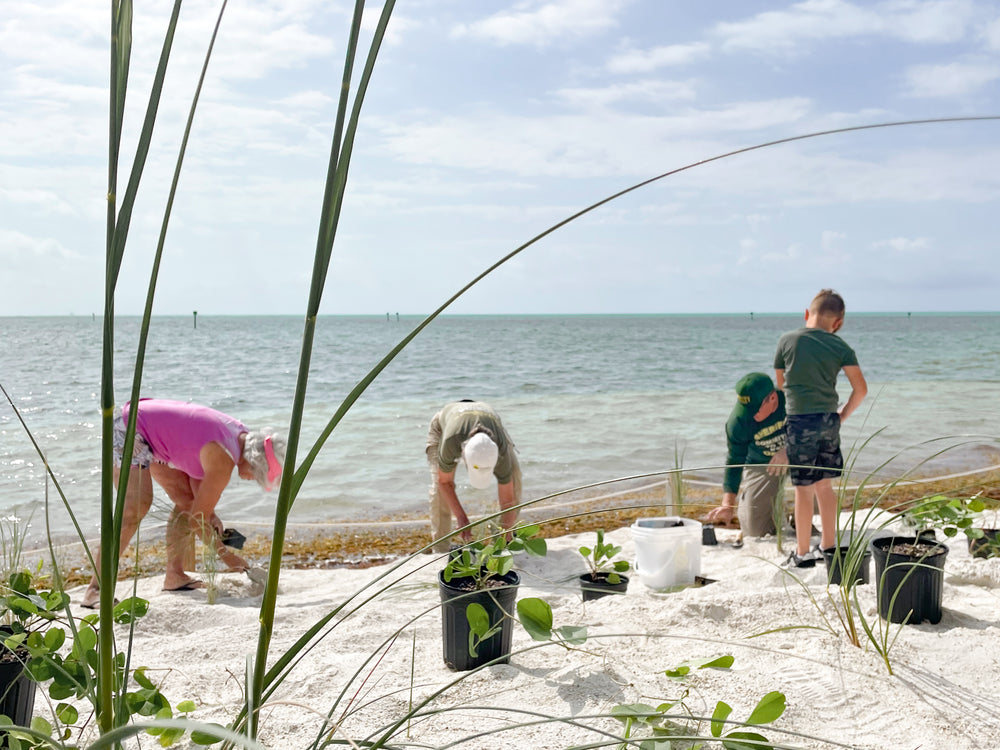 Restore Watershed in the Florida Keys