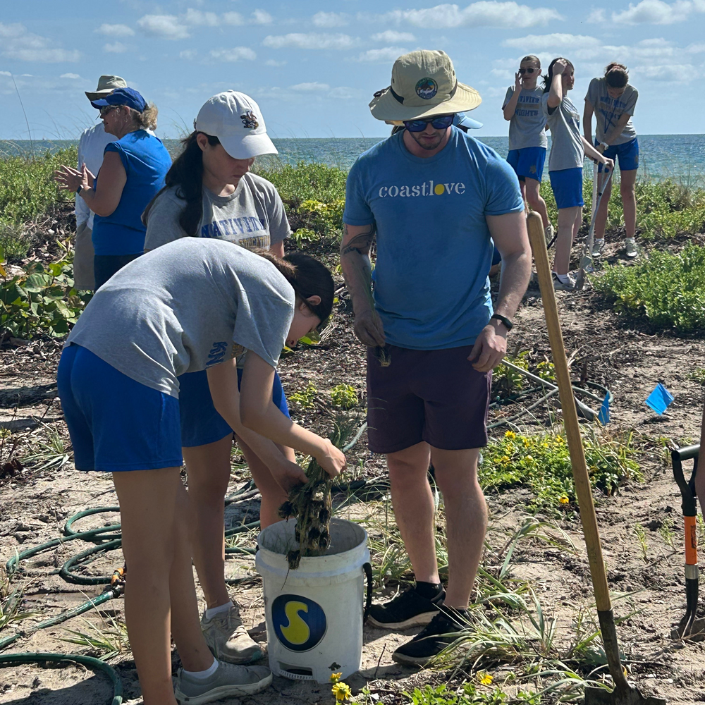 Restore Miami's Watershed