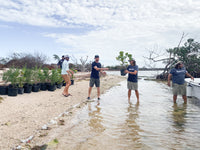 Restore Watershed in the Florida Keys