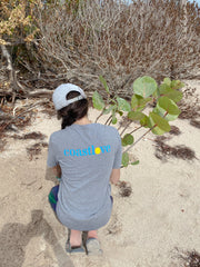 Restore Watershed in the Florida Keys