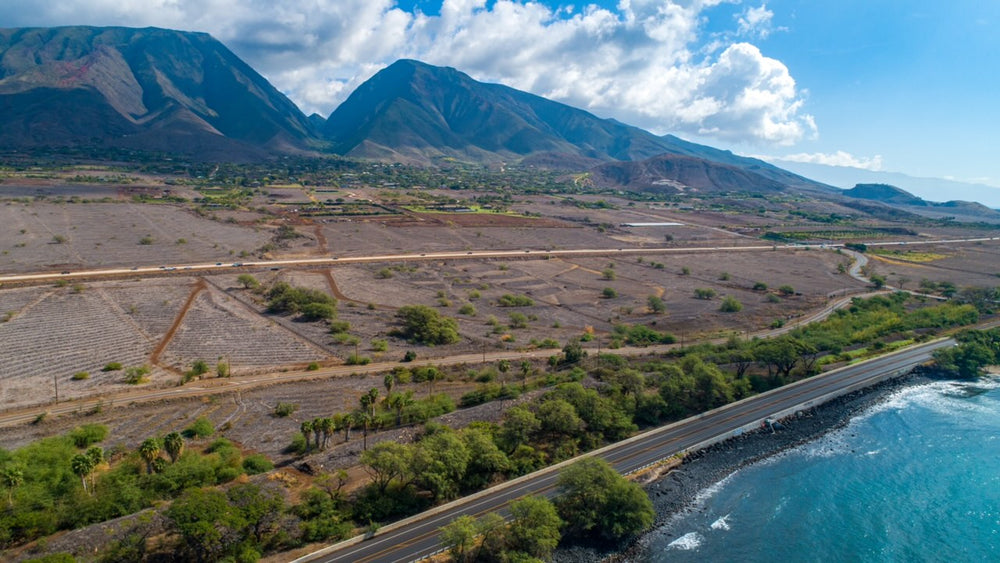 Subscribe to Restore Watershed (Hawai'i)