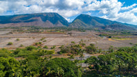 Subscribe to Restore Watershed (Hawai'i)