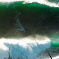 Grow a Kelp Seedling in Nazaré, Portugal