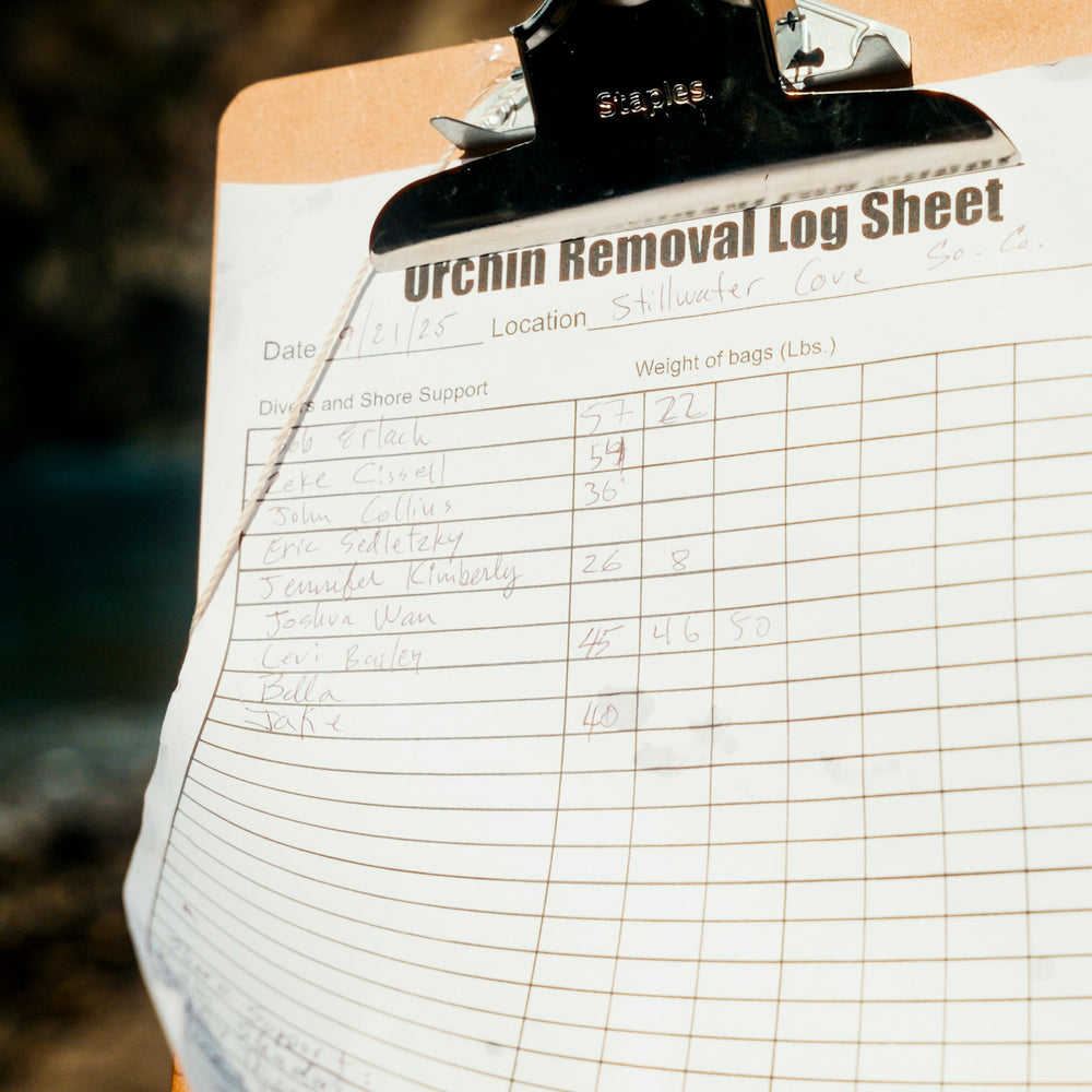 Fund a Kelp Restoration Dive