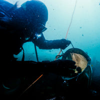 Fund a Kelp Restoration Dive