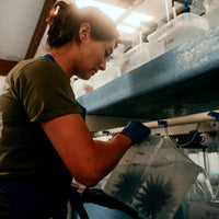 Feed A Super Star ⭐️