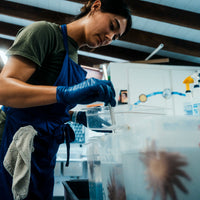 Feed A Super Star ⭐️