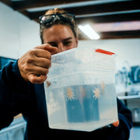 Feed A Super Star ⭐️