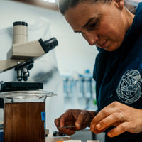 Feed A Super Star ⭐️