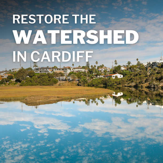 Restore the Watershed in Cardiff