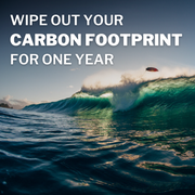 Wipe Out Your Carbon Footprint - For One Year