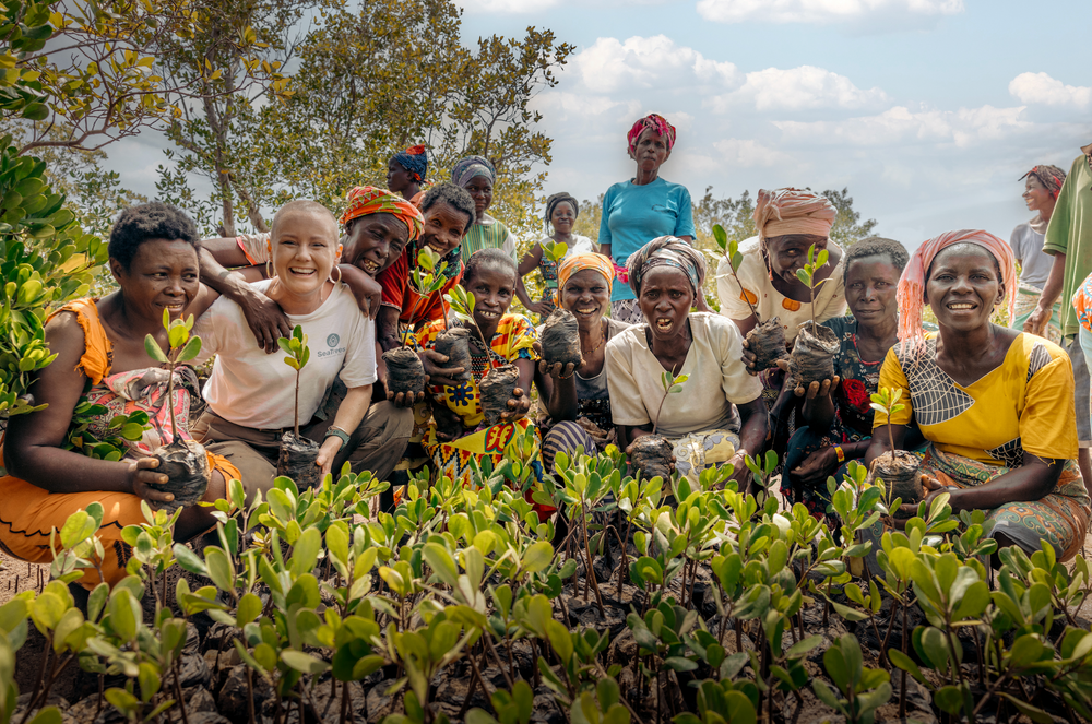 Subscribe to Plant Mangrove SeaTrees in Kenya