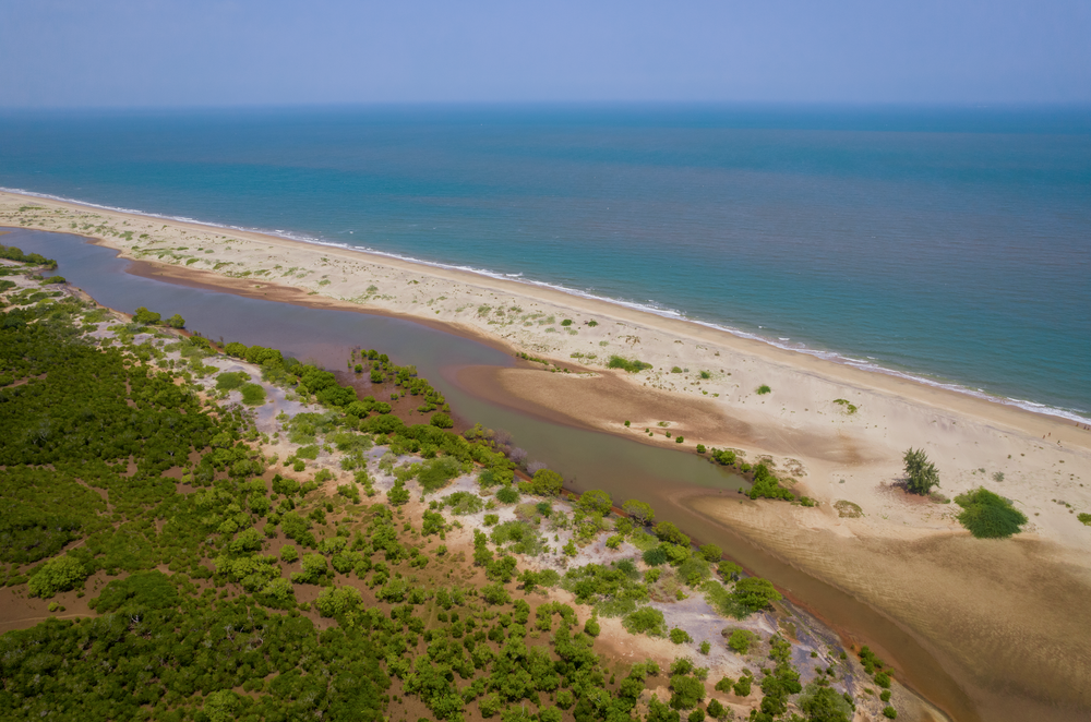 Biodiversity Block: Mangrove