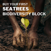 SeaTrees Biodiversity Block: Mangrove Forests