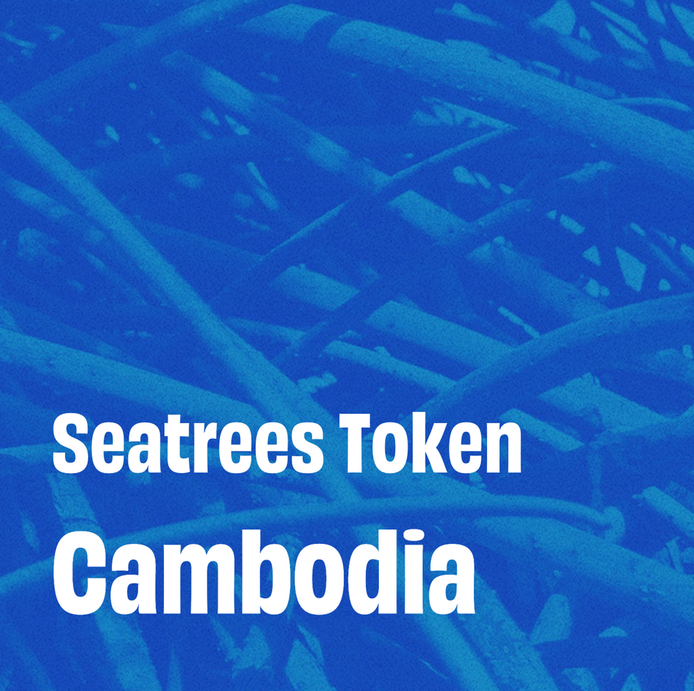 Seatrees Carbon Credits for The Change Climate Project Brands - Cardamom