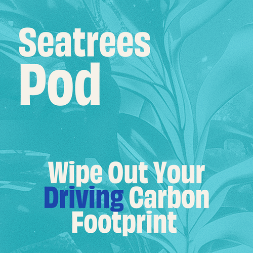 Seatrees Pod: Wipe-Out Your Driving Carbon Footprint