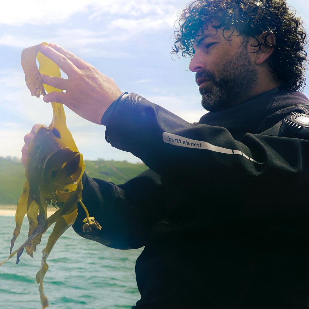 Grow a Kelp Seedling in Nazaré, Portugal