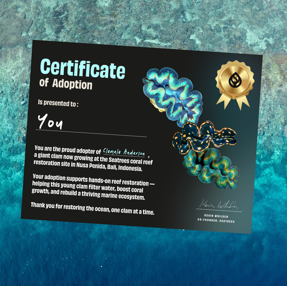 Adopt a Giant Clam
