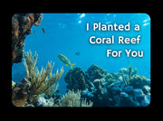 Gift Coral SeaTrees