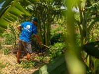 Restore the Watershed at Olowalu, Maui