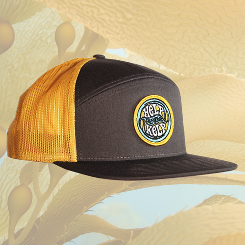 SeaTrees Help California's Kelp Snapback Hat