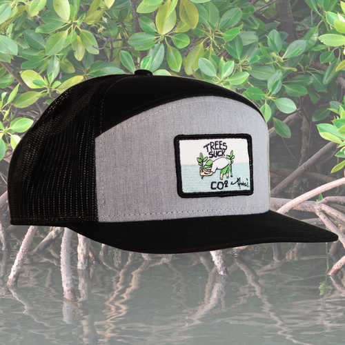 SeaTrees - Trees Suck CO2 Snapback Hat