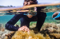 Restore Seagrass and Algae in Spain