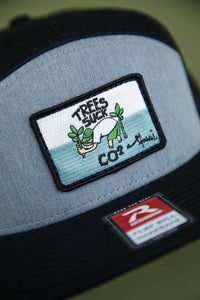 SeaTrees - Trees Suck CO2 Snapback Hat