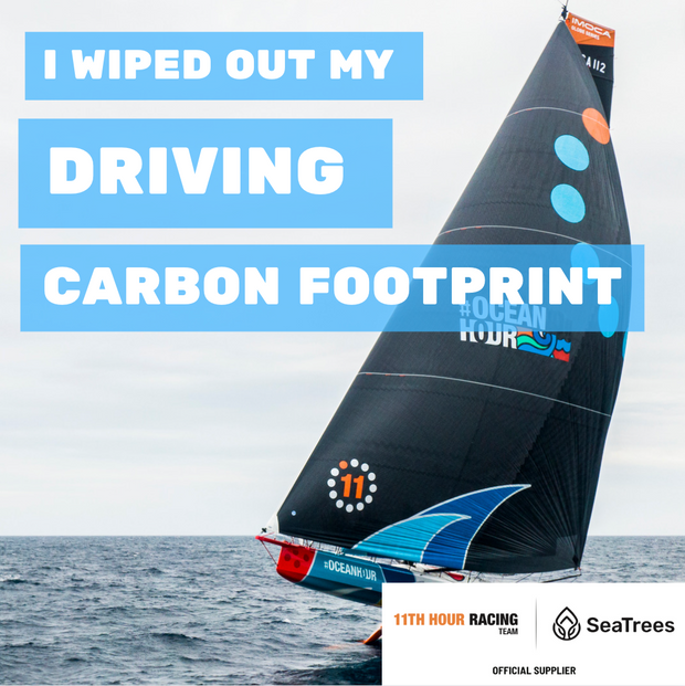 Compensate Your Driving Carbon Footprint with 11th Hour Racing Team and SeaTrees