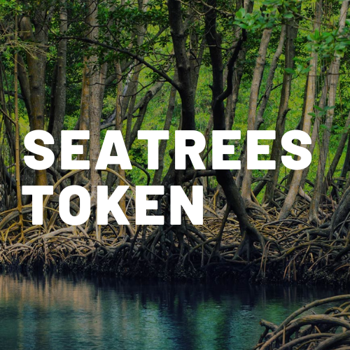 SeaTrees Plus Climate