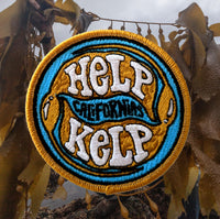 SeaTrees Help California's Kelp Patch