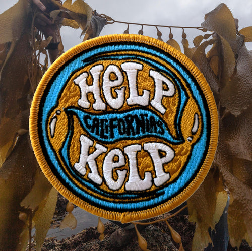 Help California's Kelp Patch